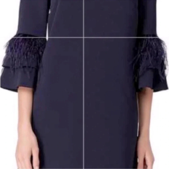 Tahari ASL Feather Time 3/4 Sleeve Dress black tie mother of the bride luxury - Picture 3 of 12